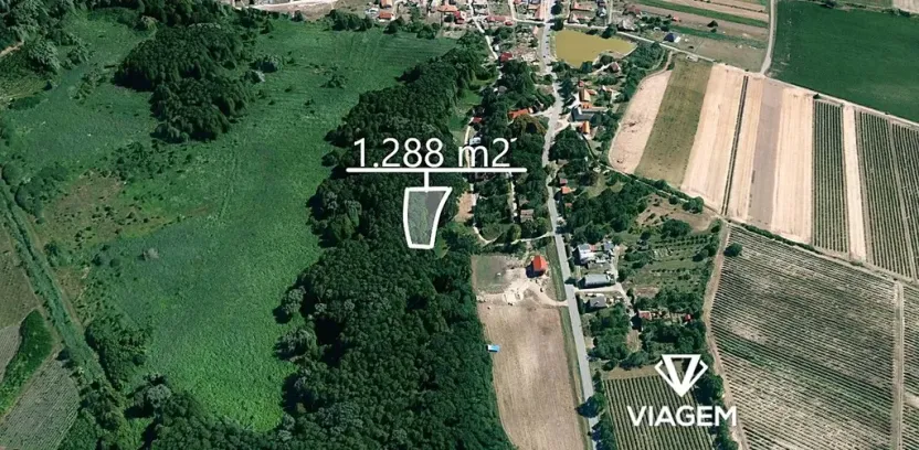 Prodej podílu lesa, Brod nad Dyjí, 644 m2