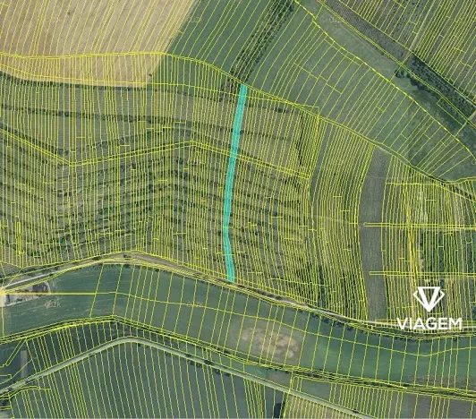 Prodej pole, Morkůvky, 4651 m2