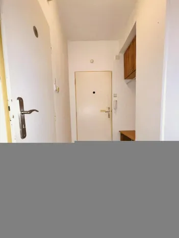 Pronájem bytu 1+kk, Ostrava - Poruba, Mongolská, 24 m2