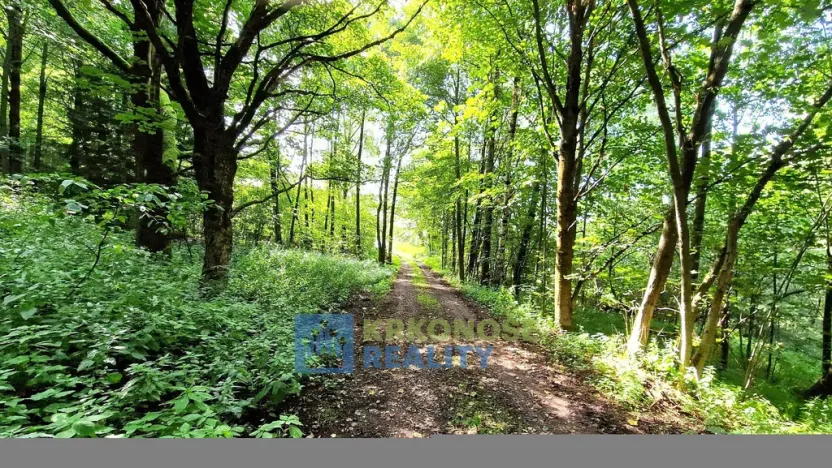 Prodej rodinného domu, Trutnov - Babí, 320 m2