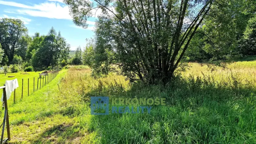 Prodej louky, Trutnov - Babí, 6930 m2