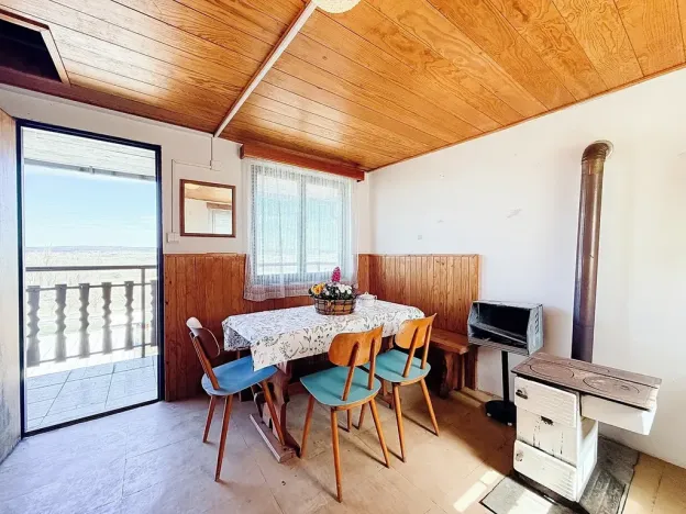 Prodej chaty, Vysoké Mýto, Vinice, 17 m2