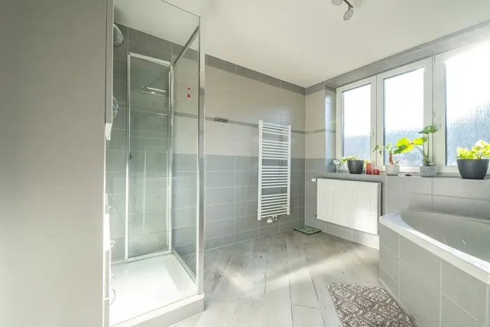 Prodej rodinného domu, Plavy, 336 m2