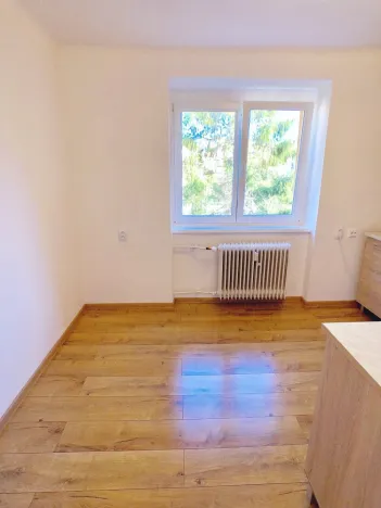 Pronájem bytu 1+1, Teplice, Ruská, 27 m2