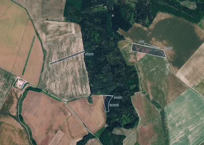 Prodej pole, Džbánice, 24528 m2