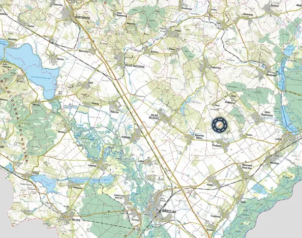 Prodej sadu/vinice, Prušánky, 4613 m2