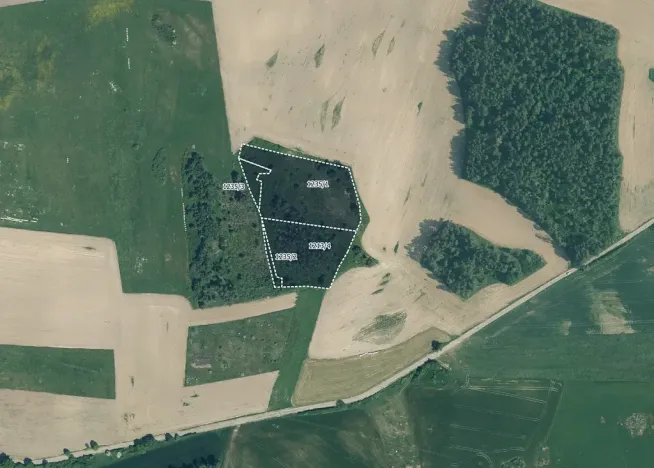 Prodej pole, Velký Bor, 34439 m2