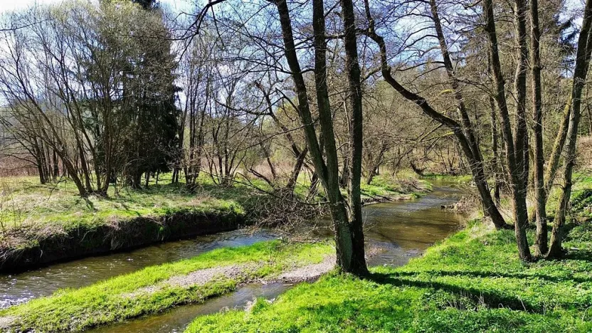 Prodej chaty, Všechlapy, 50 m2
