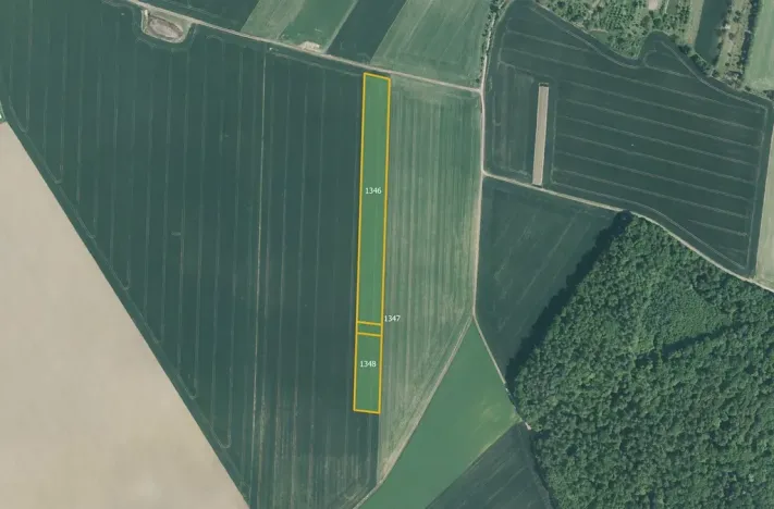 Prodej pole, Počenice-Tetětice, 24141 m2