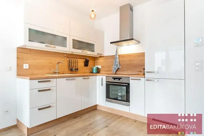 Pronájem bytu 1+kk, Olomouc, Eduarda Hamburgera, 33 m2