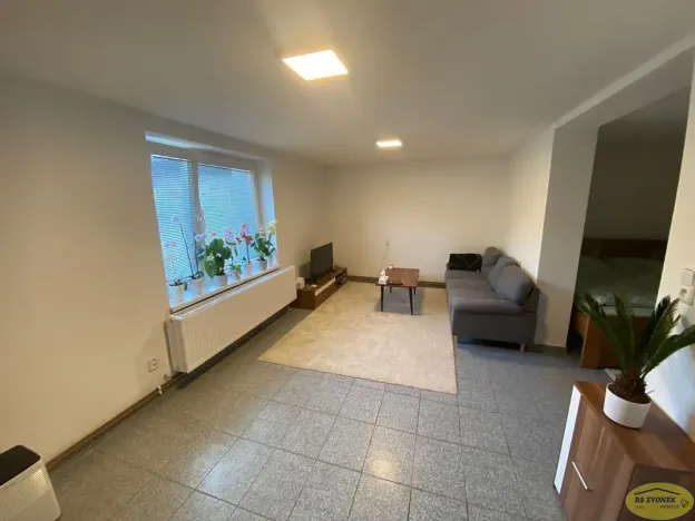 Prodej obchodního prostoru, Bystřice pod Hostýnem, Přerovská, 420 m2
