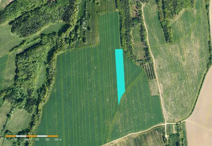 Prodej pole, Sehradice, 8080 m2