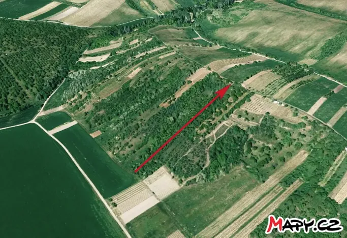 Prodej sadu/vinice, Velké Němčice, 3259 m2