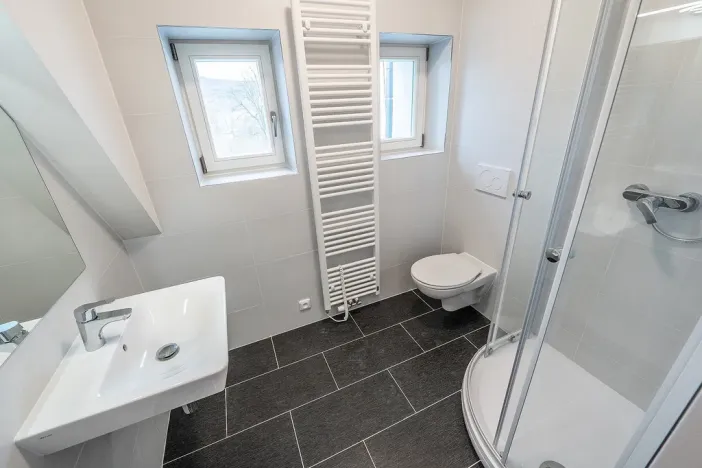 Pronájem bytu 1+kk, Liberec - Liberec III-Jeřáb, Americká, 44 m2