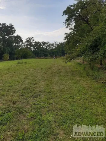 Prodej pozemku pro bydlení, Velké Všelisy, 3638 m2