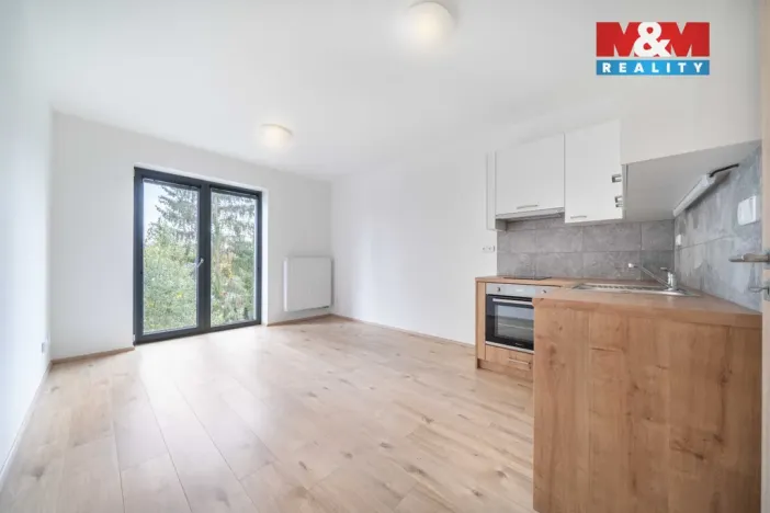 Pronájem bytu 1+kk, Třemošná, Školní, 32 m2
