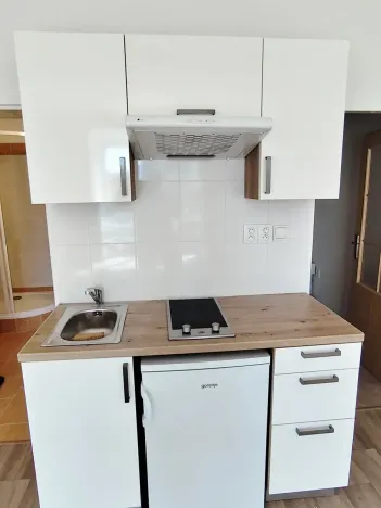 Pronájem bytu 1+kk, Praha, Zelená, 30 m2