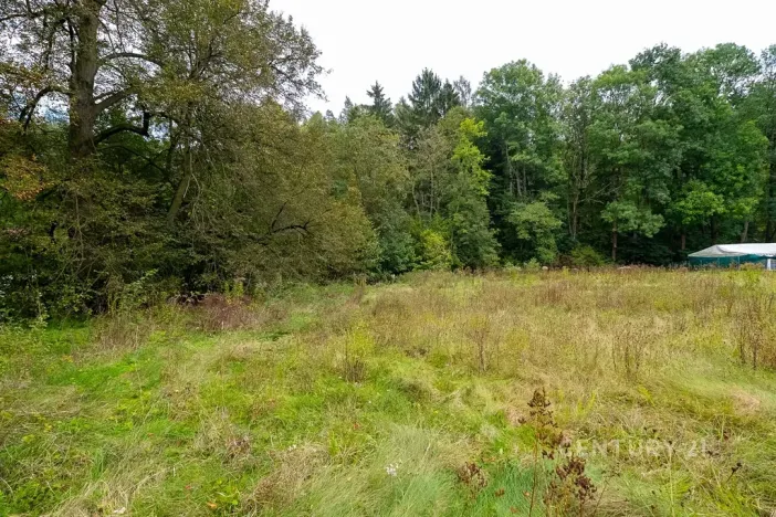 Prodej pozemku pro bydlení, Mnichovice, 2000 m2