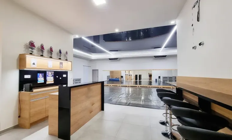 Pronájem komerční nemovitosti, Brno, Sukova, 233 m2