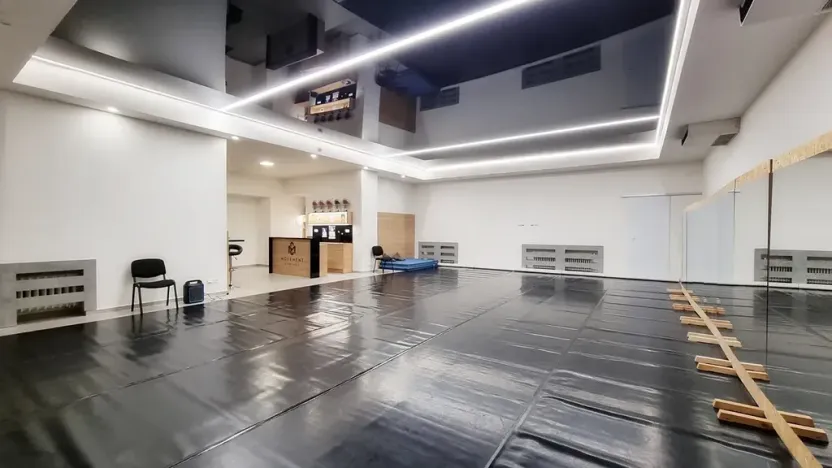 Pronájem komerční nemovitosti, Brno, Sukova, 233 m2