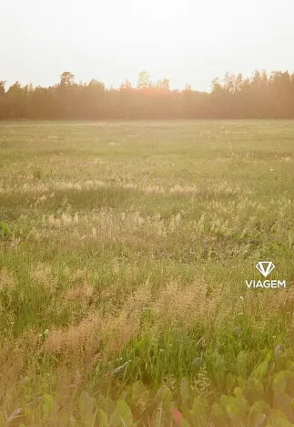 Prodej pole, Blatno, 7300 m2