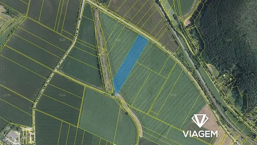 Prodej pole, Moravské Knínice, 18234 m2