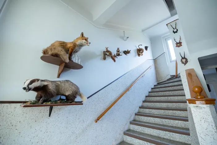 Prodej vícegeneračního domu, Vejprty, 900 m2