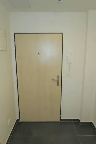 Pronájem bytu 1+kk, Brno, Pastviny, 32 m2