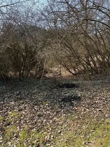 Prodej podílu pozemku, Kamenice, 1081 m2