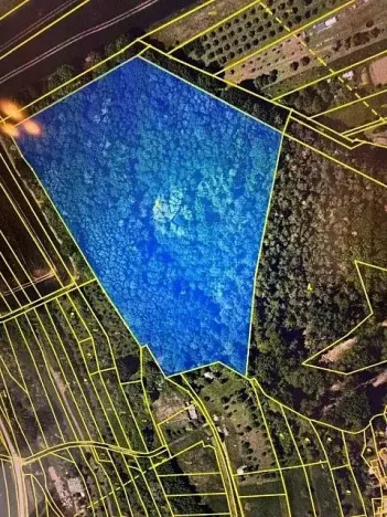 Prodej lesa, Březolupy, 29958 m2