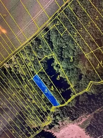 Prodej lesa, Březolupy, 628 m2