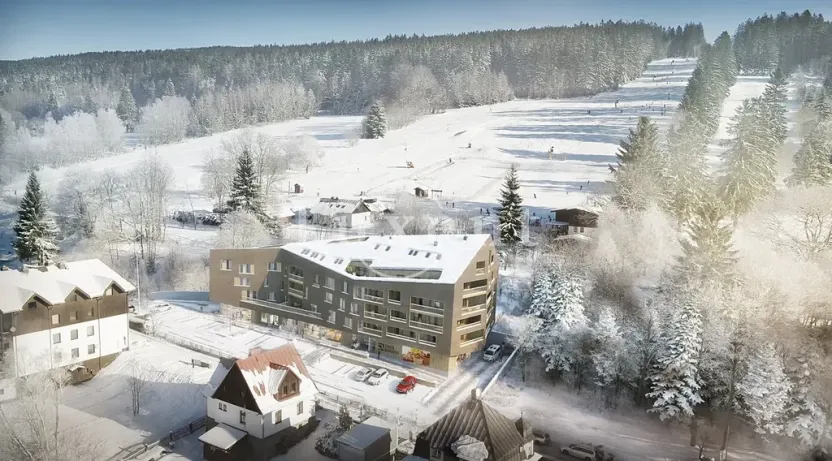 Prodej bytu 1+kk, Železná Ruda, 39 m2