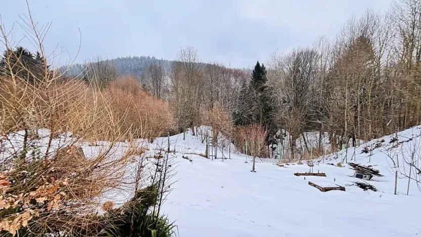 Prodej bytu 3+1, Branná, 83 m2