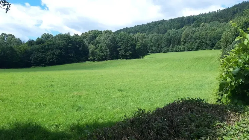 Prodej pozemku pro bydlení, Loučná nad Desnou, 36840 m2