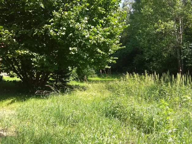 Prodej pozemku pro bydlení, Krchleby, 4000 m2