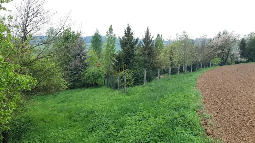 Prodej zahrady, Rohle, 1514 m2