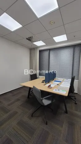 Pronájem kanceláře, Brno, Holandská, 240 m2