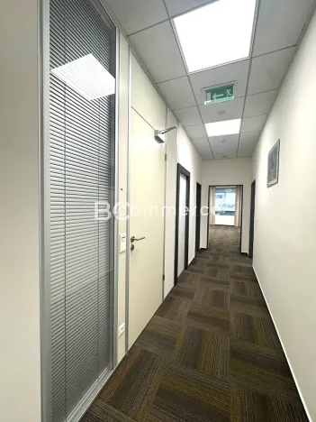 Pronájem kanceláře, Brno, Holandská, 240 m2