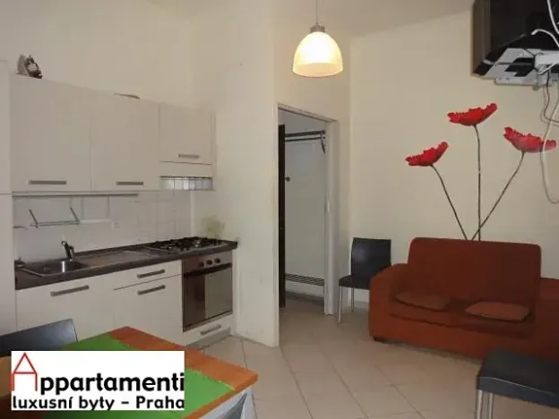 Pronájem bytu 3+kk, Praha - Nové Město, Tyršova, 45 m2