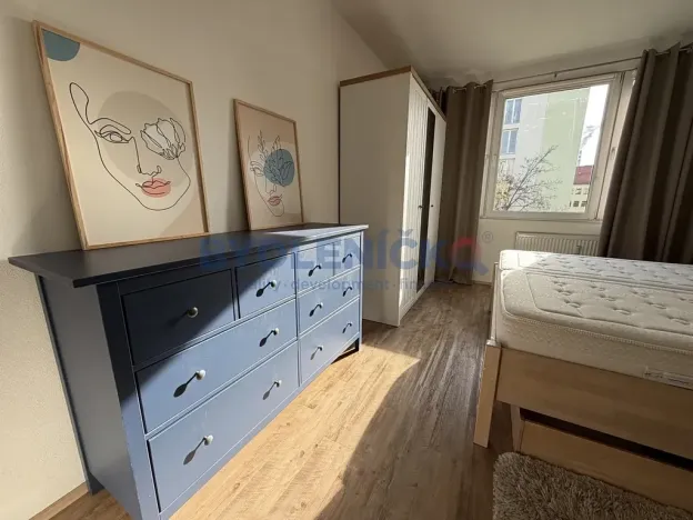 Pronájem bytu 3+1, České Budějovice, Mánesova, 85 m2