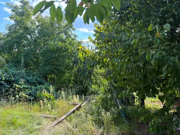 Prodej rodinného domu, Čebín, 250 m2