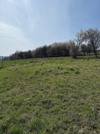 Prodej pozemku pro bydlení, Letovice, 853 m2