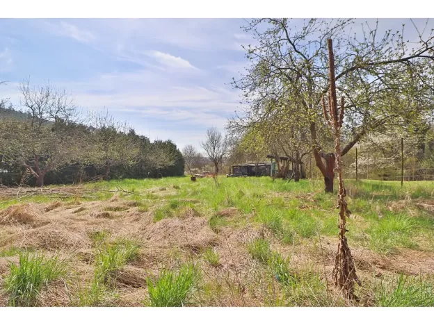 Prodej zahrady, Všechovice, 4180 m2