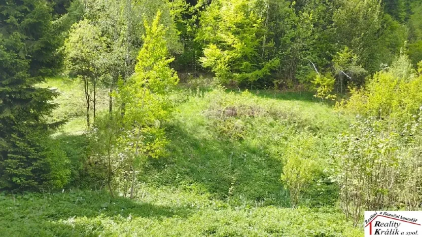 Prodej pozemku pro bydlení, Tanvald, 7310 m2