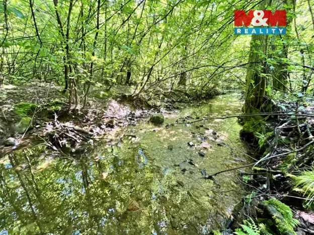 Prodej rybníku, Skalice u České Lípy, 3255 m2