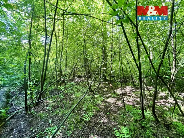 Prodej rybníku, Skalice u České Lípy, 3255 m2