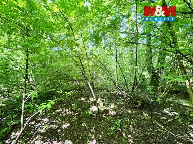 Prodej rybníku, Skalice u České Lípy, 3255 m2