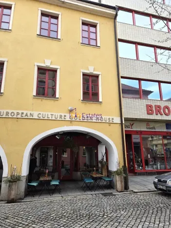 Pronájem ordinace, České Budějovice, Dr. Stejskala, 59 m2