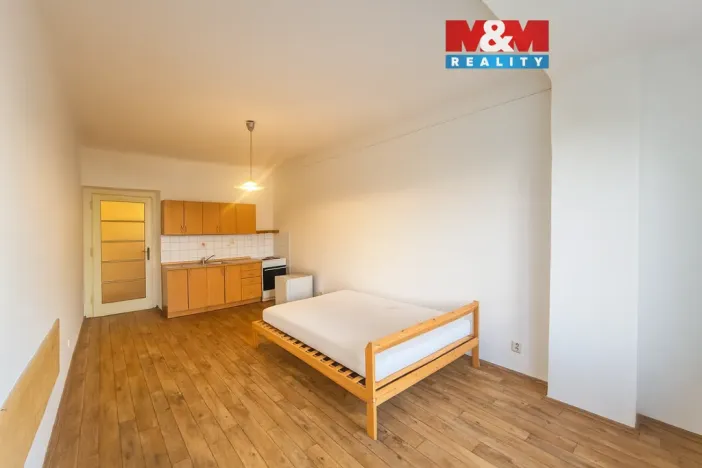Pronájem bytu 1+kk, Praha - Nusle, V Horkách, 25 m2