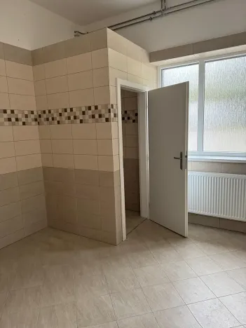 Pronájem skladu, Ostrov, 800 m2